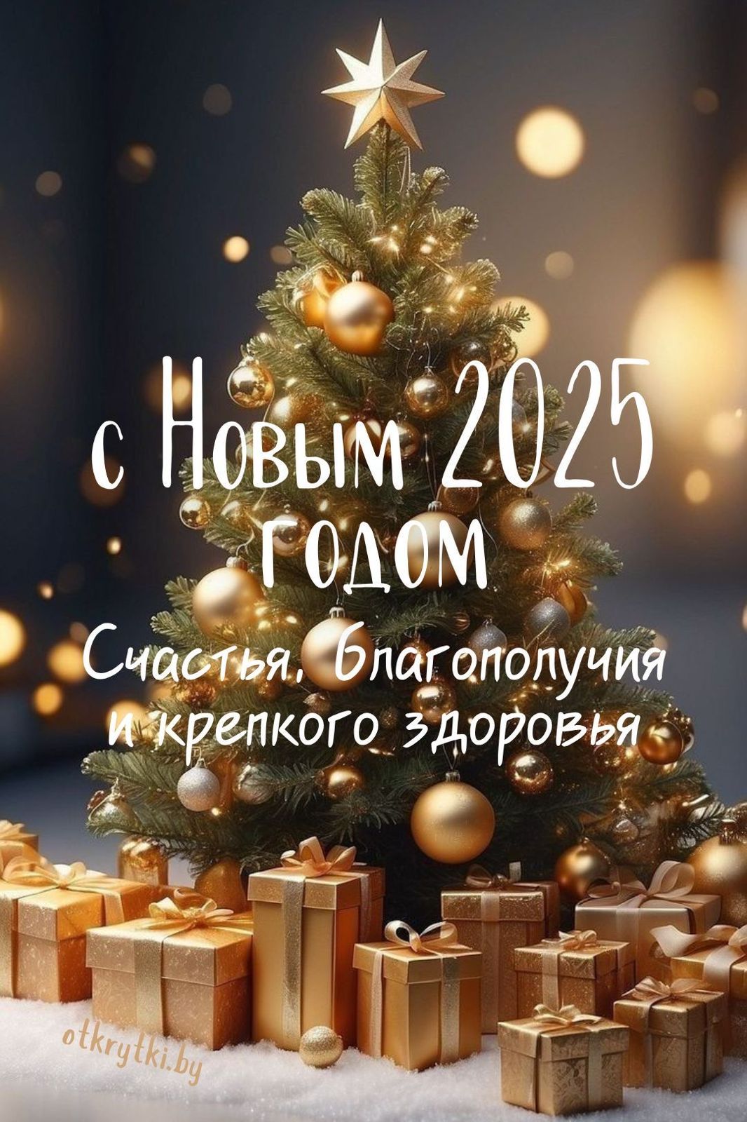 Поздравление Главы сельского поселения с наступающим Новым 2025 годом!.
