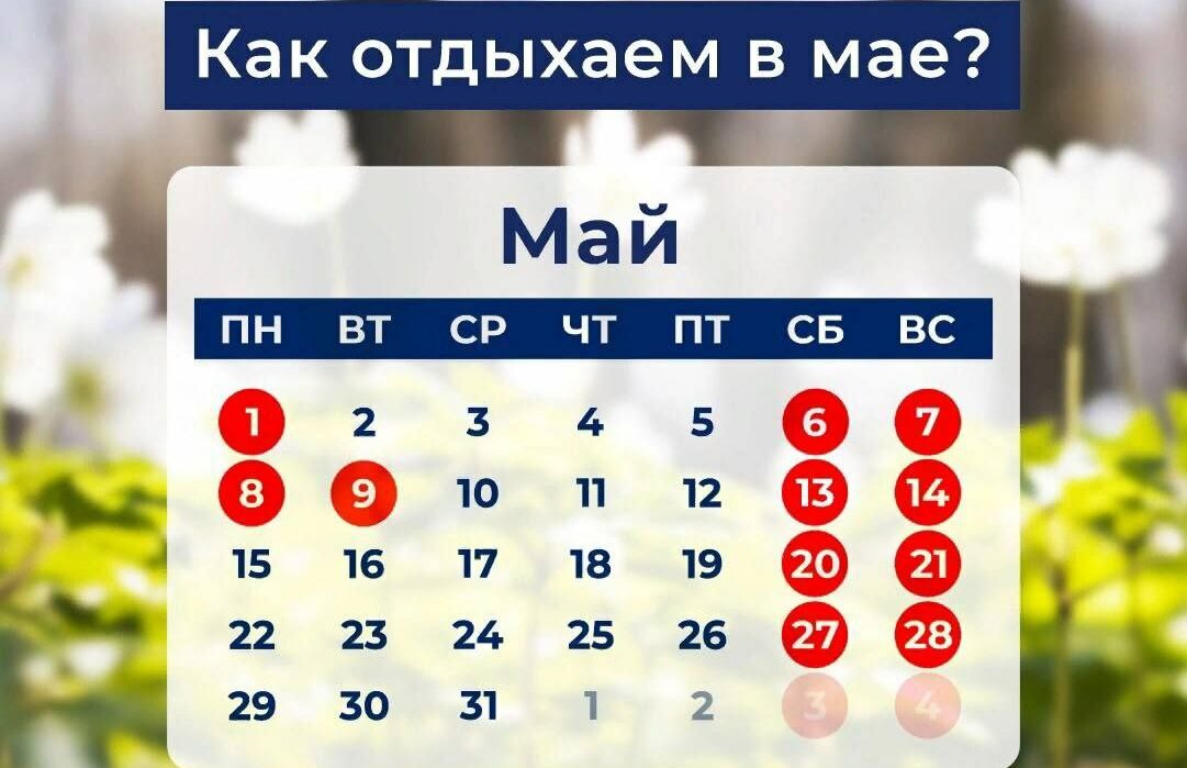 Как отдыхаем в майские  праздники.
