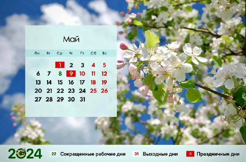 Как дагестанцы будут отдыхать на майские праздники?.