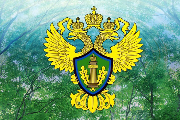 ПАМЯТКА. ПАМЯТКА.